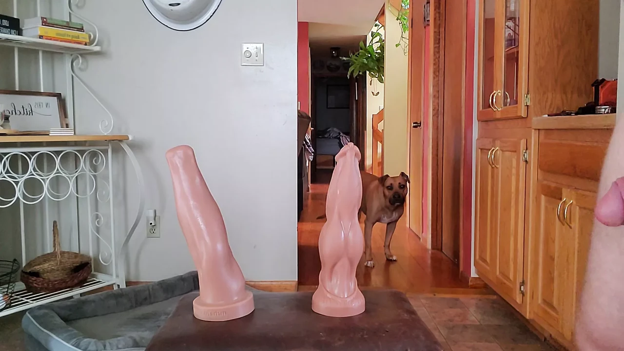 huge mrhankeystoys