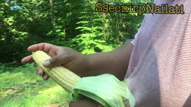 Was chucking corn and realized something