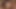 アンディ・ブラウンはセクシーな中出し好き