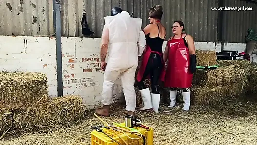 Dominatrix Mistress April - The Super Ball Event
