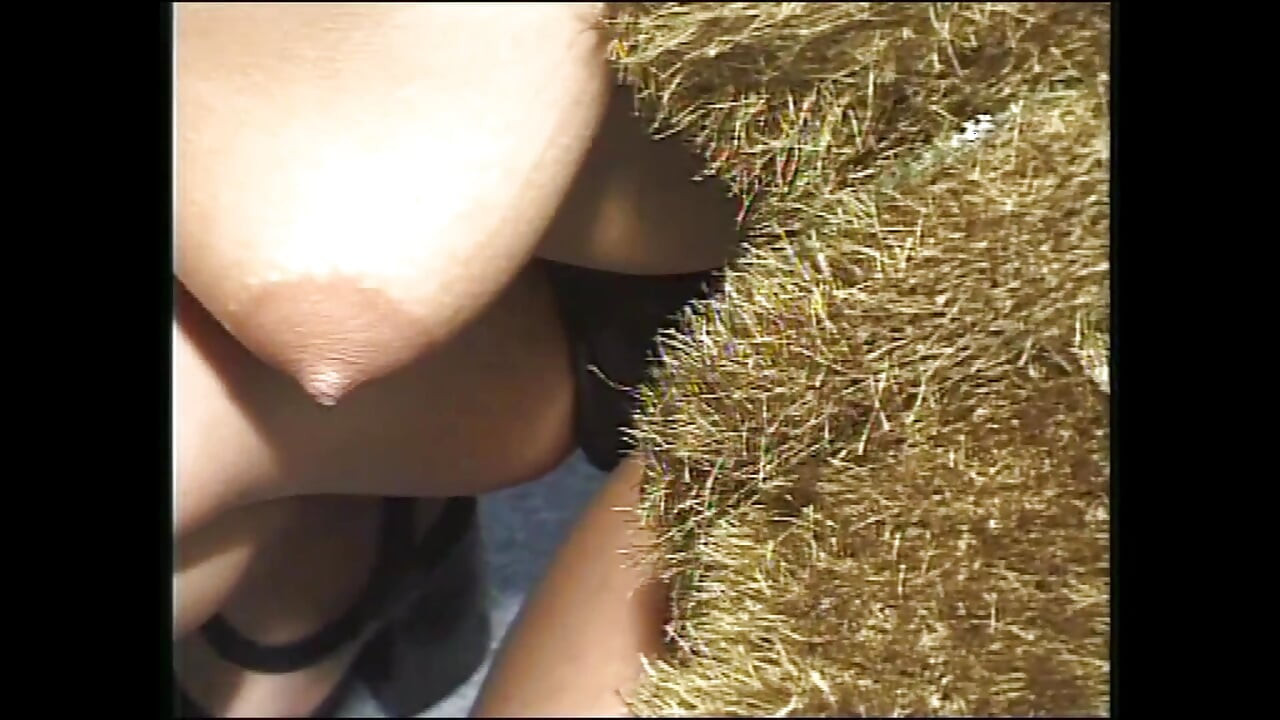 Vild hingst tar kontrollen ikväll