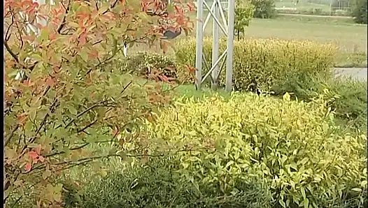 Симпатичная телочка-блондинка сосет твердый член на улице