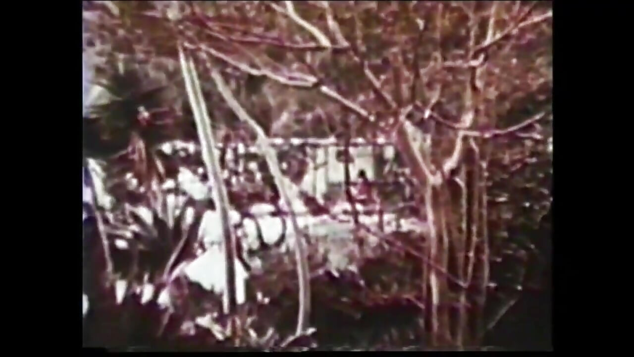 Vahşi Sevgili John Holmes