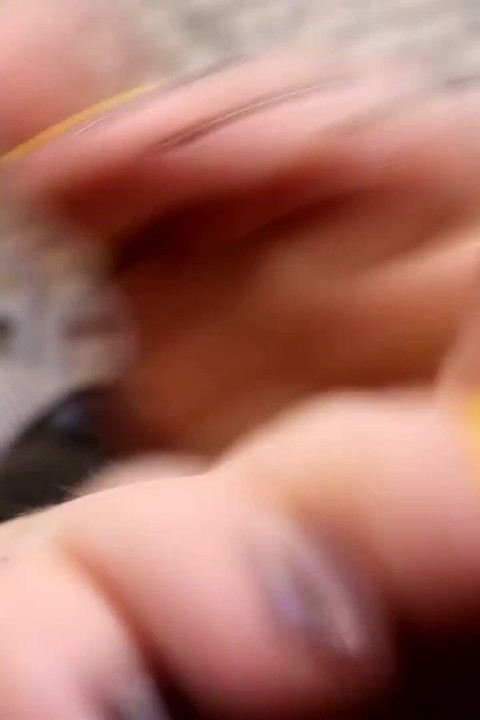 JOI over stinky, shiny, sweaty feet and socks!