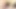 warmfreshpaint