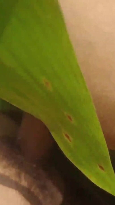 Jangal me bhabhi ne sex kiya Part 2 | Clip 1