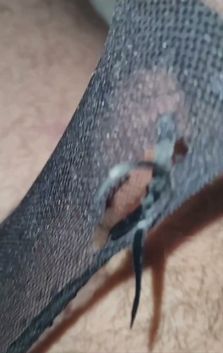 Cum in panties