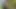 Dua pria berbadan sehat dengan penis yang bagus mendapatkan seks yang luar biasa di tempat piknik