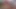 Cosplay bunny suck this hot sexy trans latina girl with small tits and a big cock gets a blowjob and ass licking from a