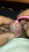 Pregled videozapisa