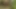 Down the Woods of Nigeria with Big Ass Daddy Black for a Hard Doggy
