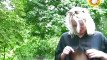 Pratinjau video