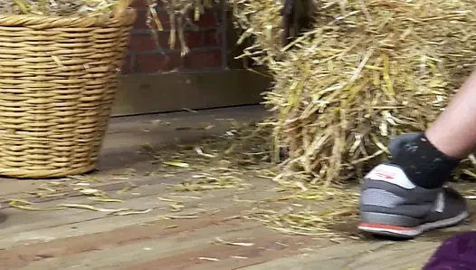 Hot anal sex with sexy brunette at the barn