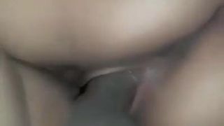 Video di sesso a pecorina
