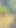 Nude walk in the jungle