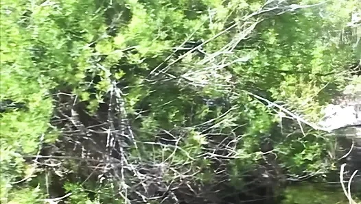 Als der Hahn auf dem Mars ankam...