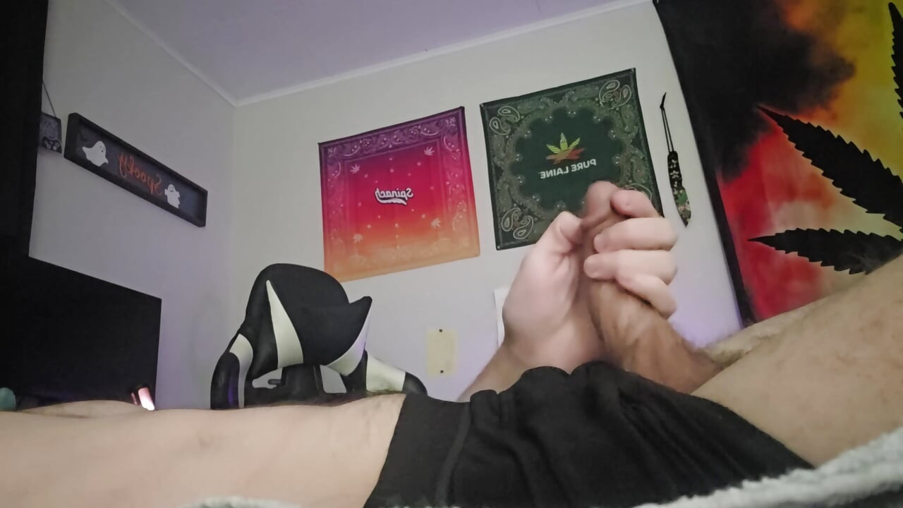 ذكر منفرد شخ ونائب الرئيس