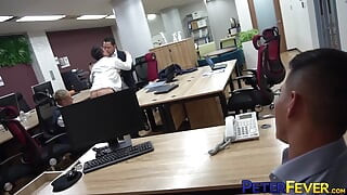 Peterfever asiático oficina studs