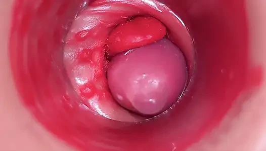 Kamera camgirl serviks lagi asik muasin memeknya pakai mainan seks kontol besar - pov
