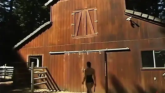 Adrianna Nicole, Annie Cruz, Sandra Romain, Kat, Lee Stone and Mark Davis