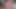 Play with crowned Glans, Foreskin and pubes – close-up uncut cock cumming