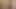 Wank In Wood 1
