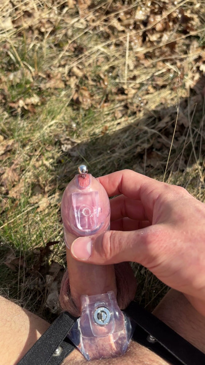Outdoor micro chasttiy cage release | Clip 1