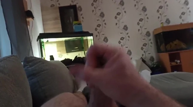 Wanking sox