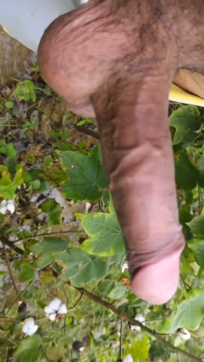 Pink Hot Dick Big Cum In Jungle | Clip 1