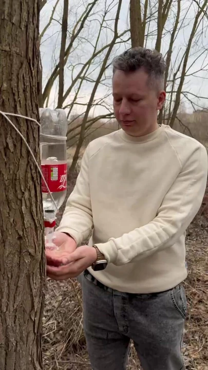 survie lifehack bushcraft ✅ survivante de camping lifehacks à l’extérieur, short de bushcraft dans la forêt