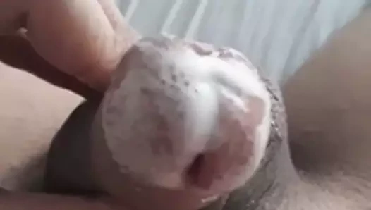 Para Poli Ygro