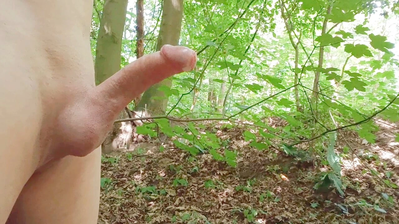 我喜欢森林