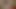 my horny cock pees on my best female friend's dirty panty