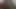 NASTY Pretty Black Ebony Girl Tasting Her Creamy Young Hairy Pussy (DIRTY TALK, MOANING & FINGERING)