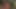 BBC gives me a creampie and another hotwife eats the creampie from my pussy and cleans me up good