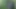 My stepsister gives me a blowjob outdoors in the river and in the forest.- She gives me several blowjobs with love and ends up fucking on all fours