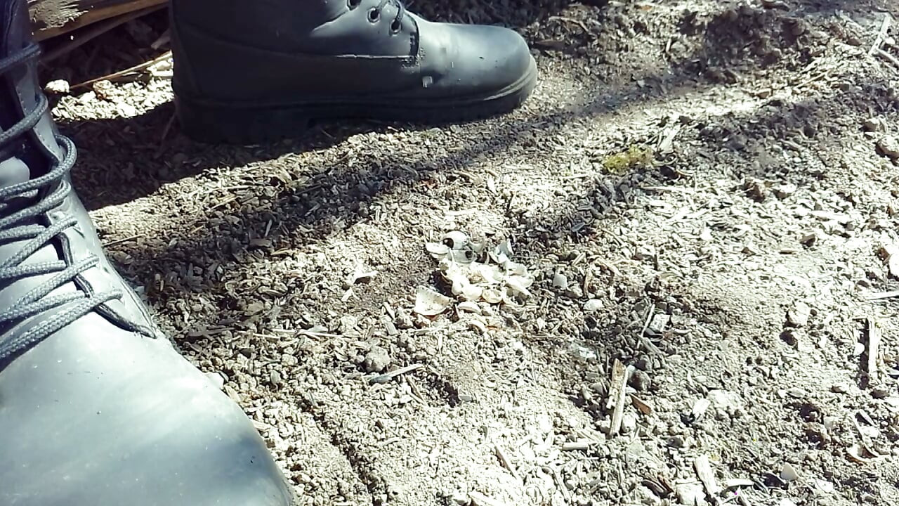 Jerk off and Cum After Empty Shells Are Crushed by Boots