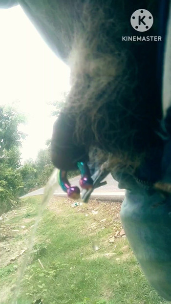 White pubic piss on outdoor