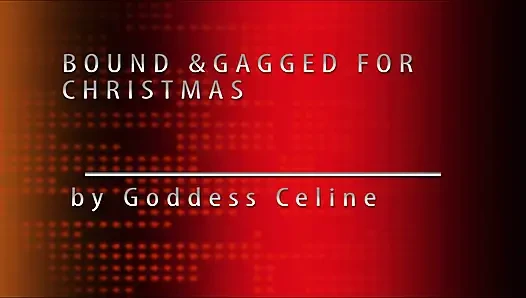 Zu Weihnachten gefesselt (teil 1)