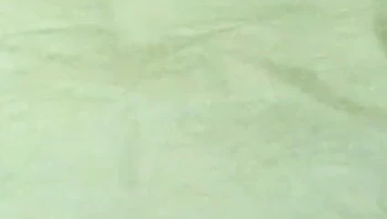 Gonzo