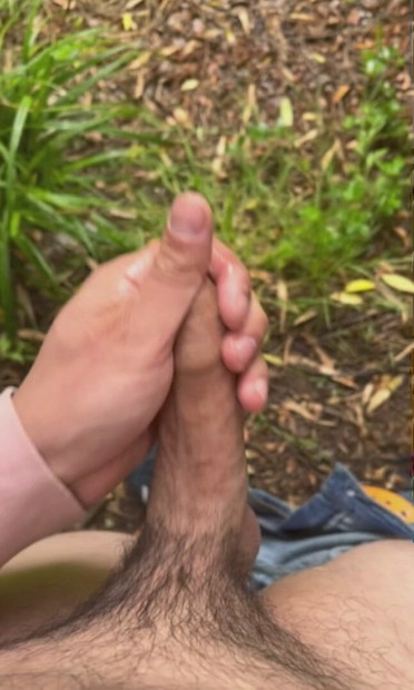Cock in the woods