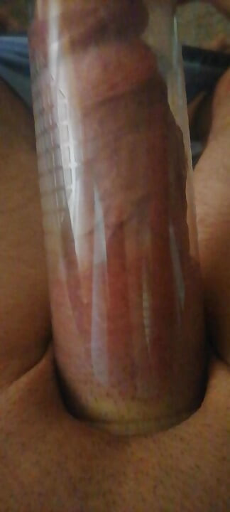 Penis mare