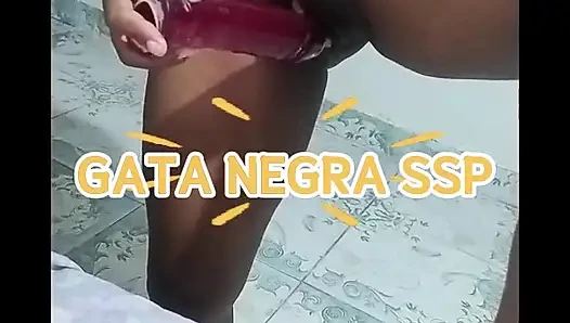 GATANEGRA NOLAUNCH LIFE