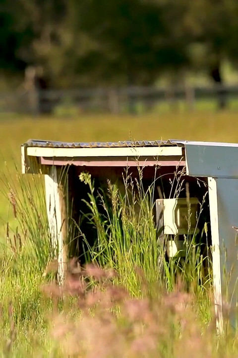 Homeward Bound Part 3: Stray Featuring Charlie Forde, Finley Kay, Caleb Arcane