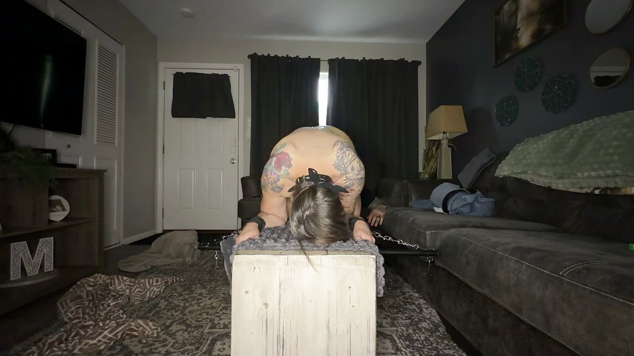 Tied and fucked after training me