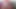 Seksi Zaobljena Latina Jaše Veliki Tvrdi Trans Kurac