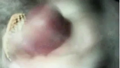 Skype öpücükler-benim