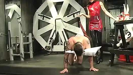 Slim brunette dominatrix humiliates and degrades male slave in her lair