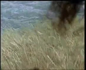 जर्मन स्तन आउटडोर 03