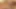 Adegan golden pussies 4: aksi hot lesbian saling jilat memek satu sama lain